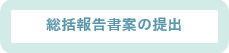 総括報告書案の提出