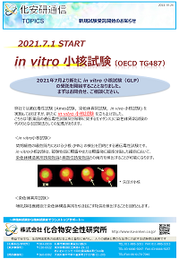 in vitro小核試験