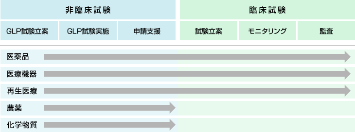 非臨床試験＞臨床試験