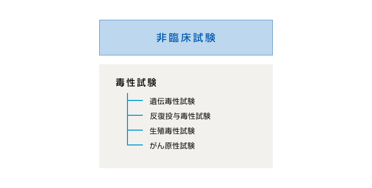 当社主要対象範囲 【非臨床試験】毒性試験:遺伝毒性試験,反復投与毒性試験,生殖毒性試験,がん原性試験